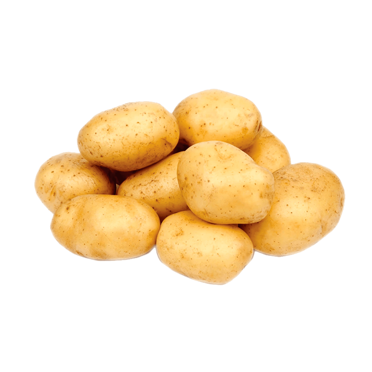 Papa Blanca