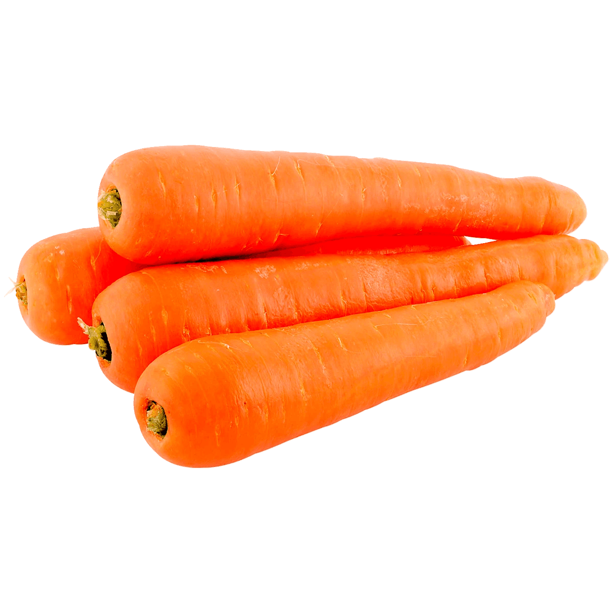 Zanahoria