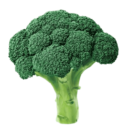 Brócoli
