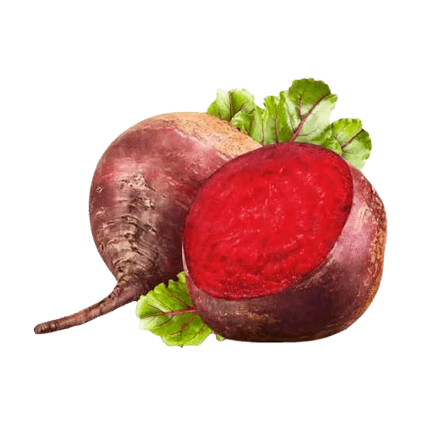 Betabel