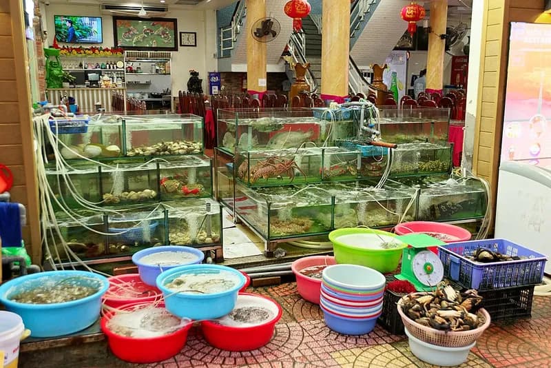 Mariscos y Pescados