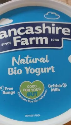 Yogurt Natural 1L